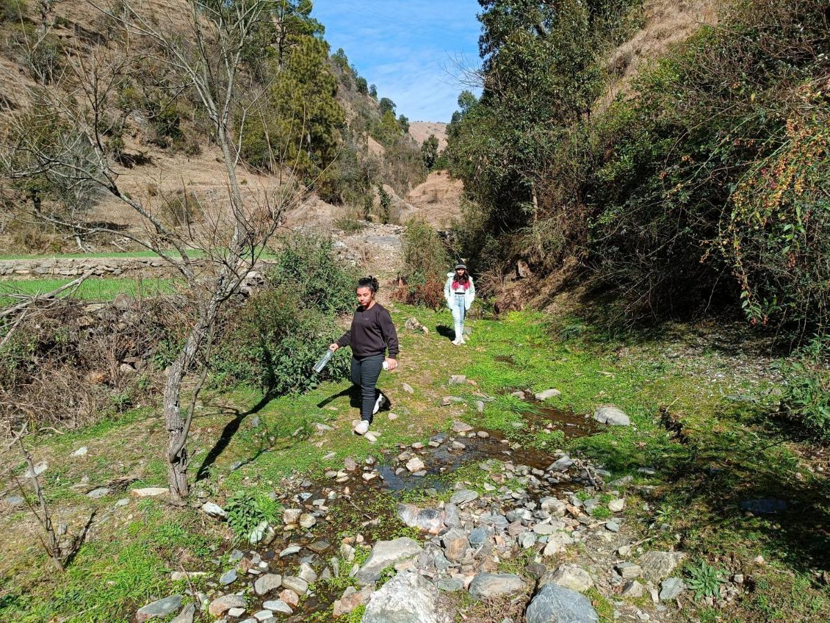 Skywood Resort Shoghi Shogi Dış mekan fotoğraf
