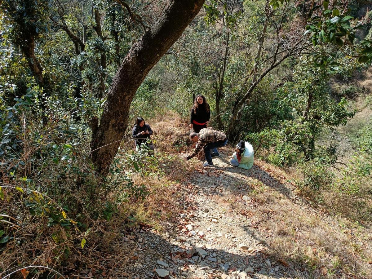 Skywood Resort Shoghi Shogi Dış mekan fotoğraf