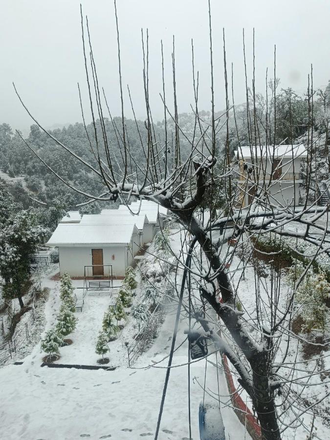 Skywood Resort Shoghi Shogi Dış mekan fotoğraf