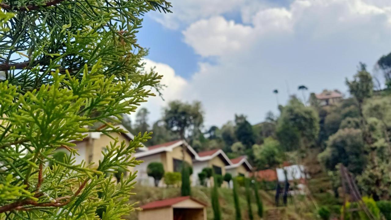 Skywood Resort Shoghi Shogi Dış mekan fotoğraf